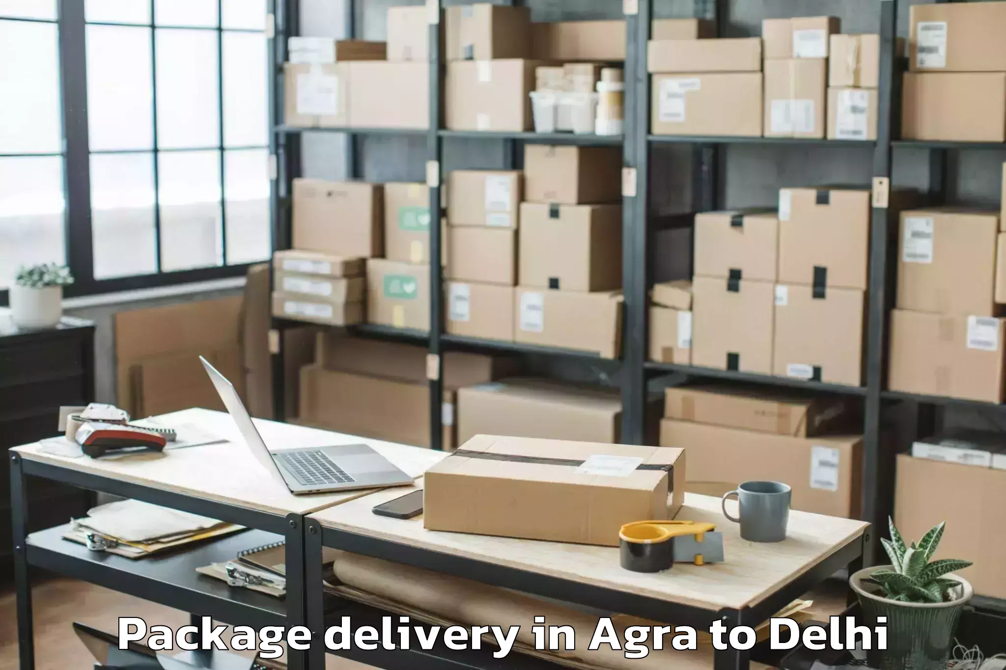 Hassle-Free Agra to Saraswati Vihar Package Delivery